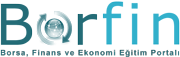 borfin-logo